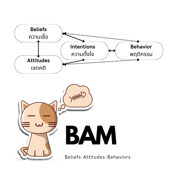 BAM theory psychology datastist